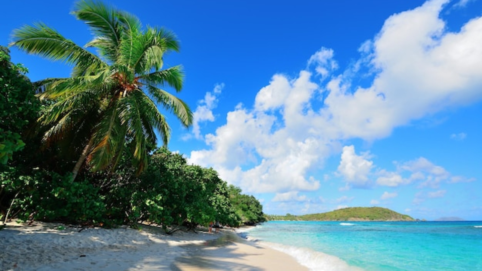 Pourquoi une croisière MSC dans les Caraïbes est un rêve à vivre ?